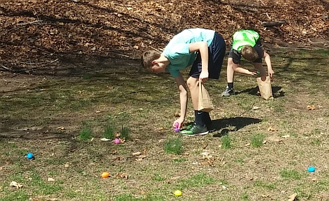 Hunting for eggs